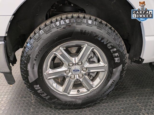 2024 Ford F-150 XLT photo 6