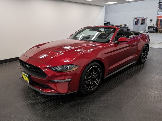 Used 2021 Ford Mustang EcoBoost with VIN 1FATP8UH1M5113929 for sale in Randolph, NJ