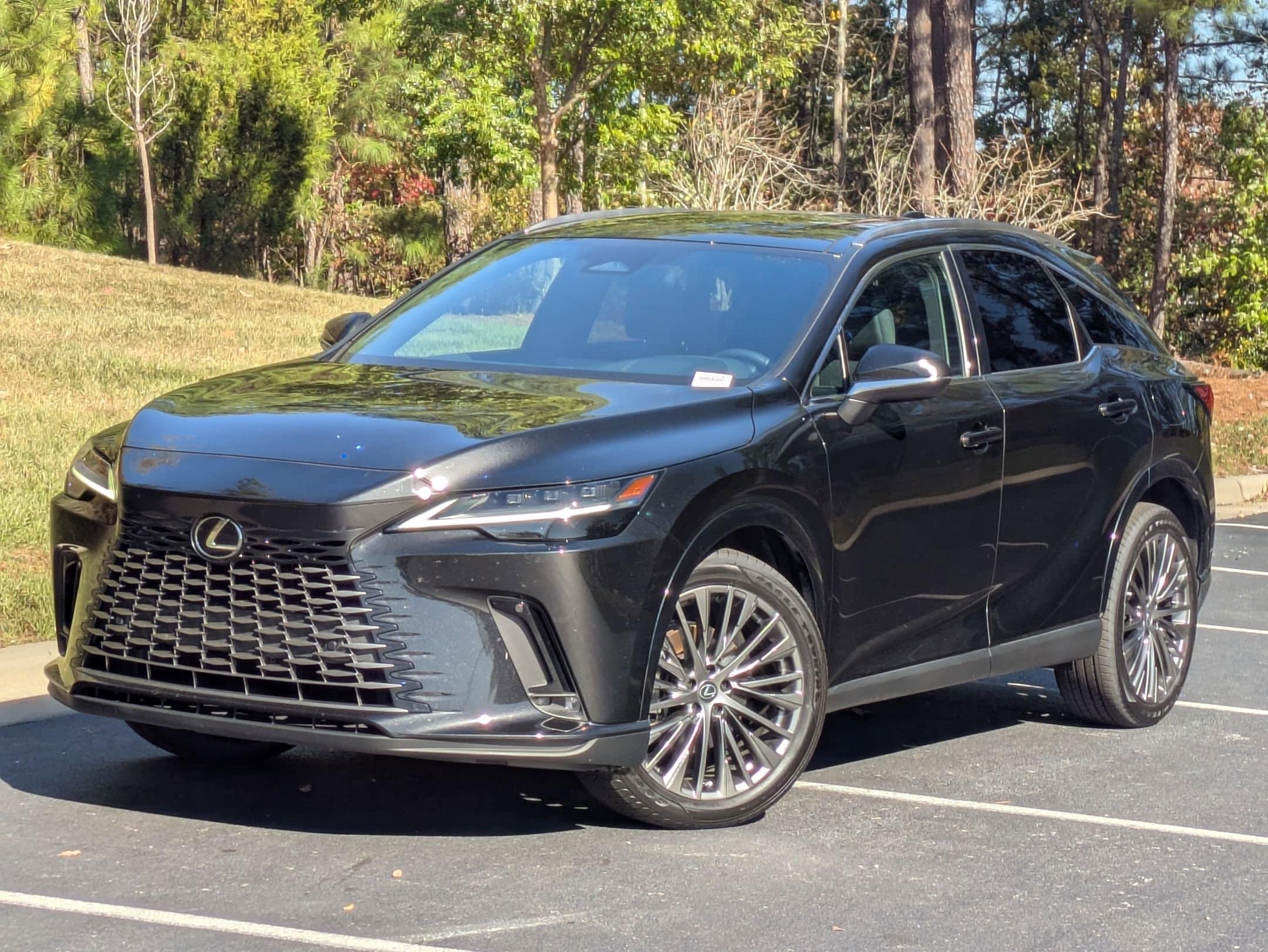 2023 Lexus RX Hybrid 350h's photo