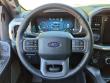 2025 Ford F-150 LARIAT Pickup