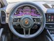 2023 Porsche Cayenne Platinum Edition Coupe SUV