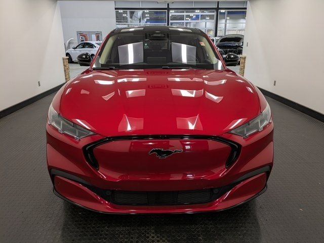 Certified 2024 Ford Mustang Mach-E Premium AWD with VIN 3FMTK3SU2RMA08101 for sale in Randolph, NJ