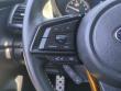2023 Subaru Forester Wilderness SUV