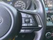 2023 Subaru Forester Wilderness SUV