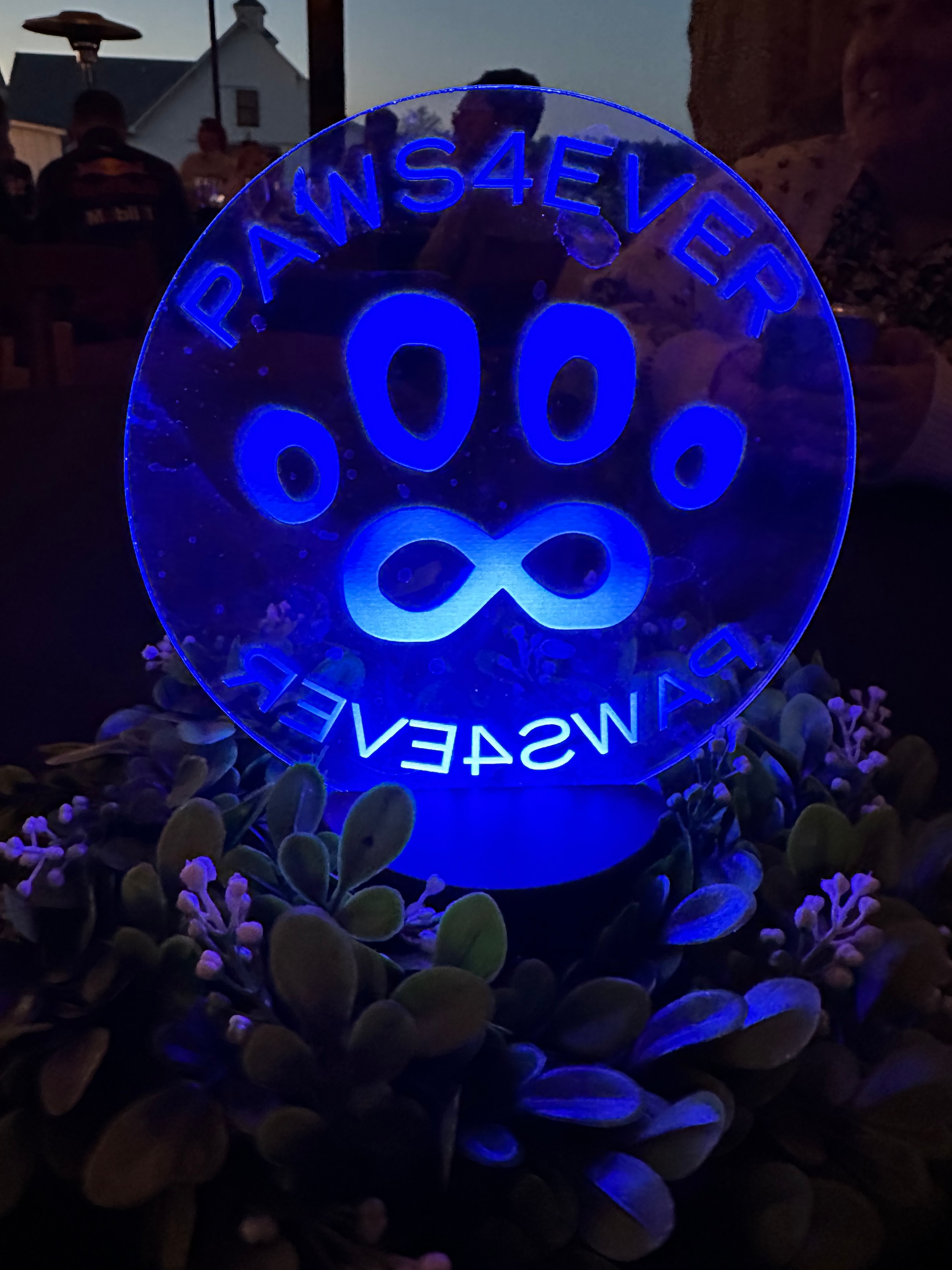 Paws4Ever Wags & Whiskers Gala