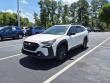 2024 Subaru Outback Onyx Edition SUV