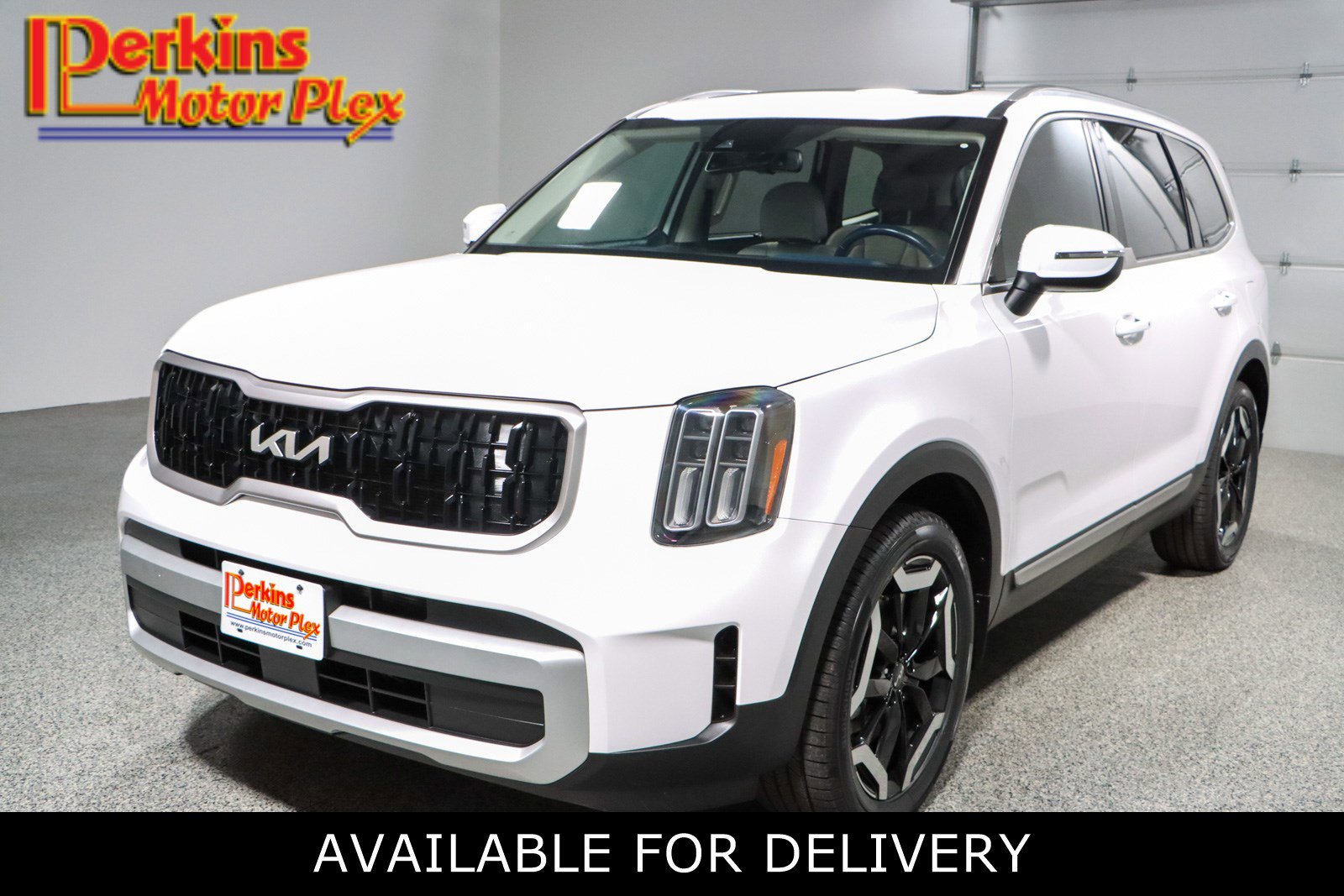 2024 Kia Telluride EX's photo