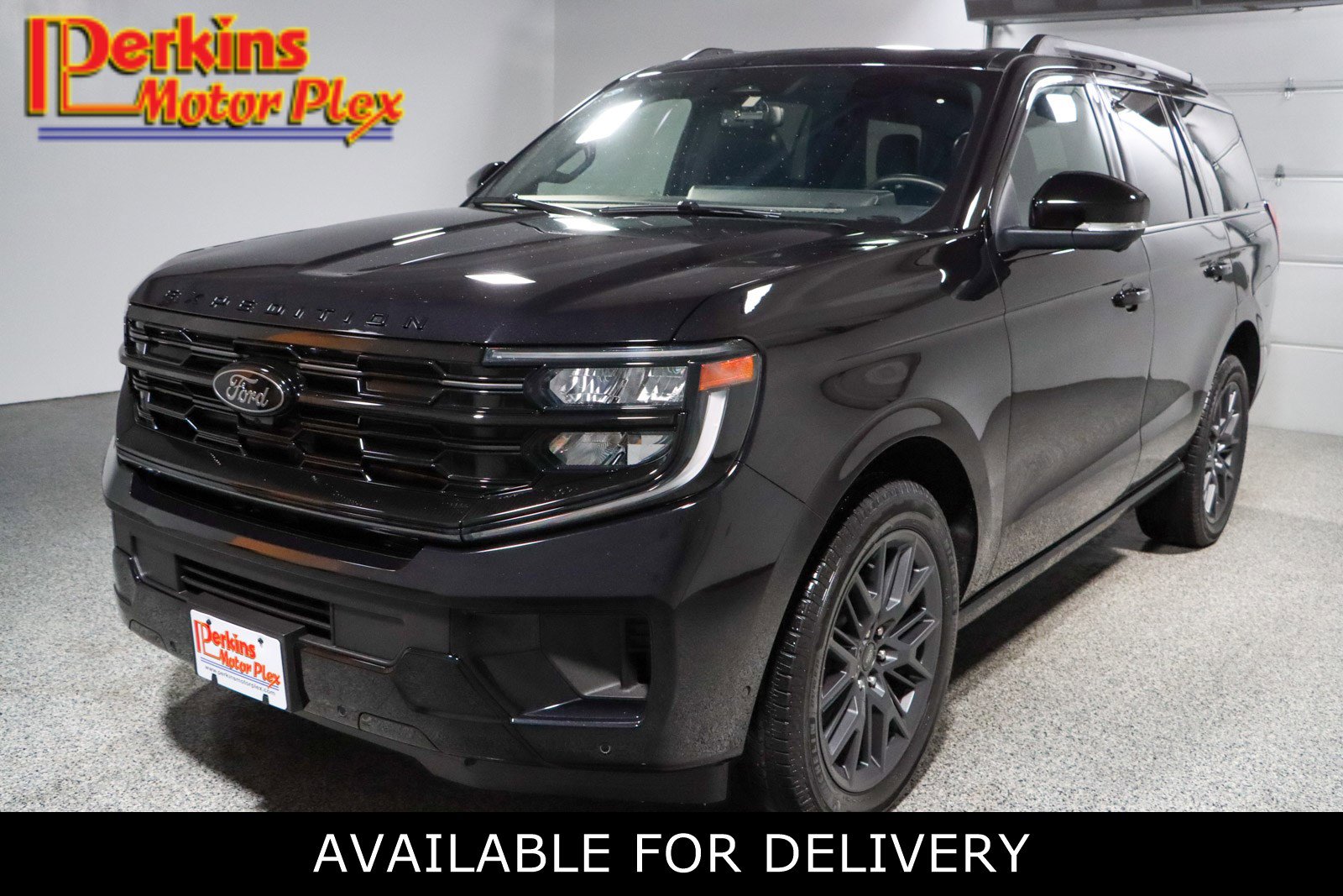 2025 Ford Expedition Platinum's photo