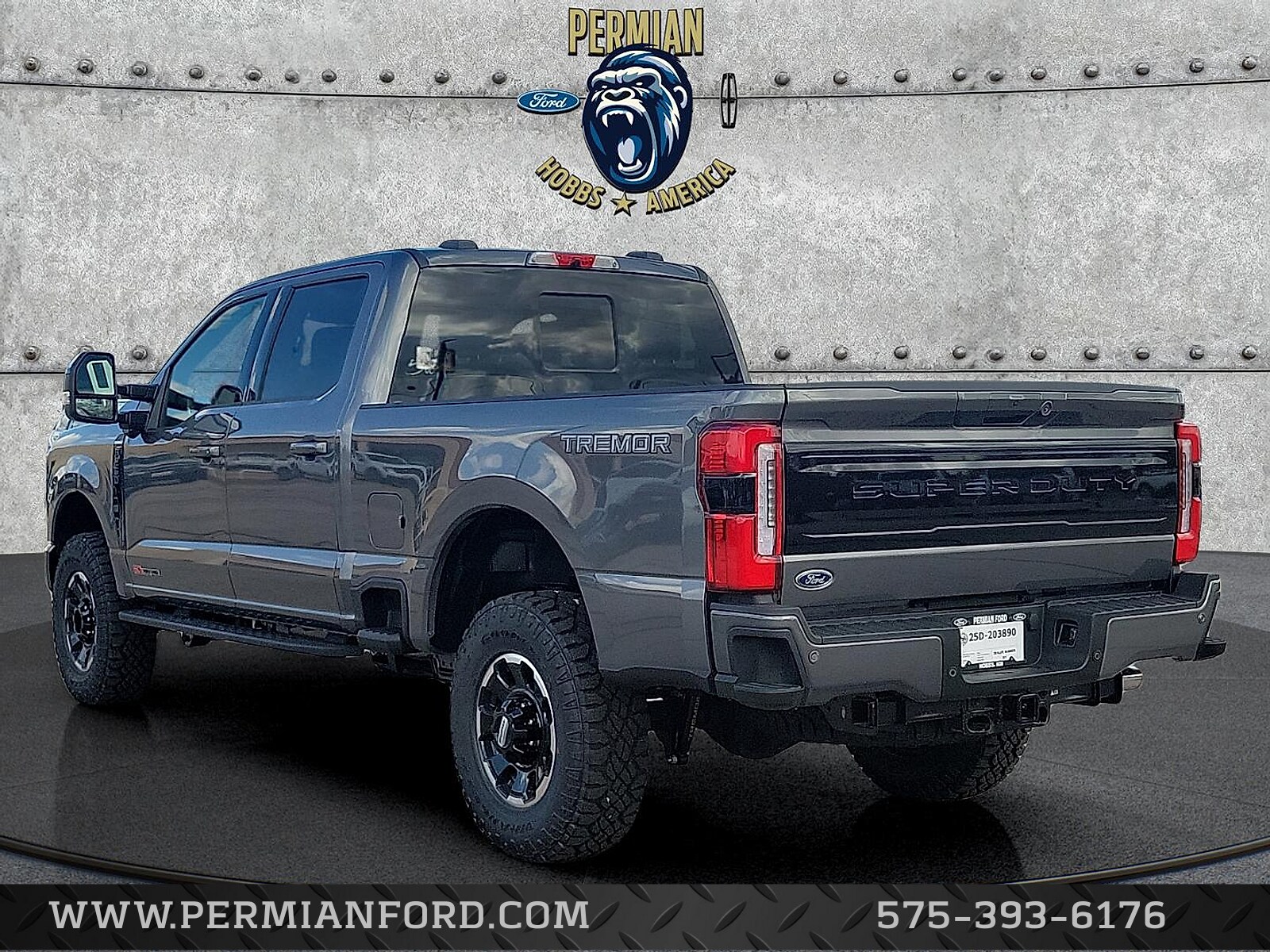 2025 Ford F-250 Platinum photo 3