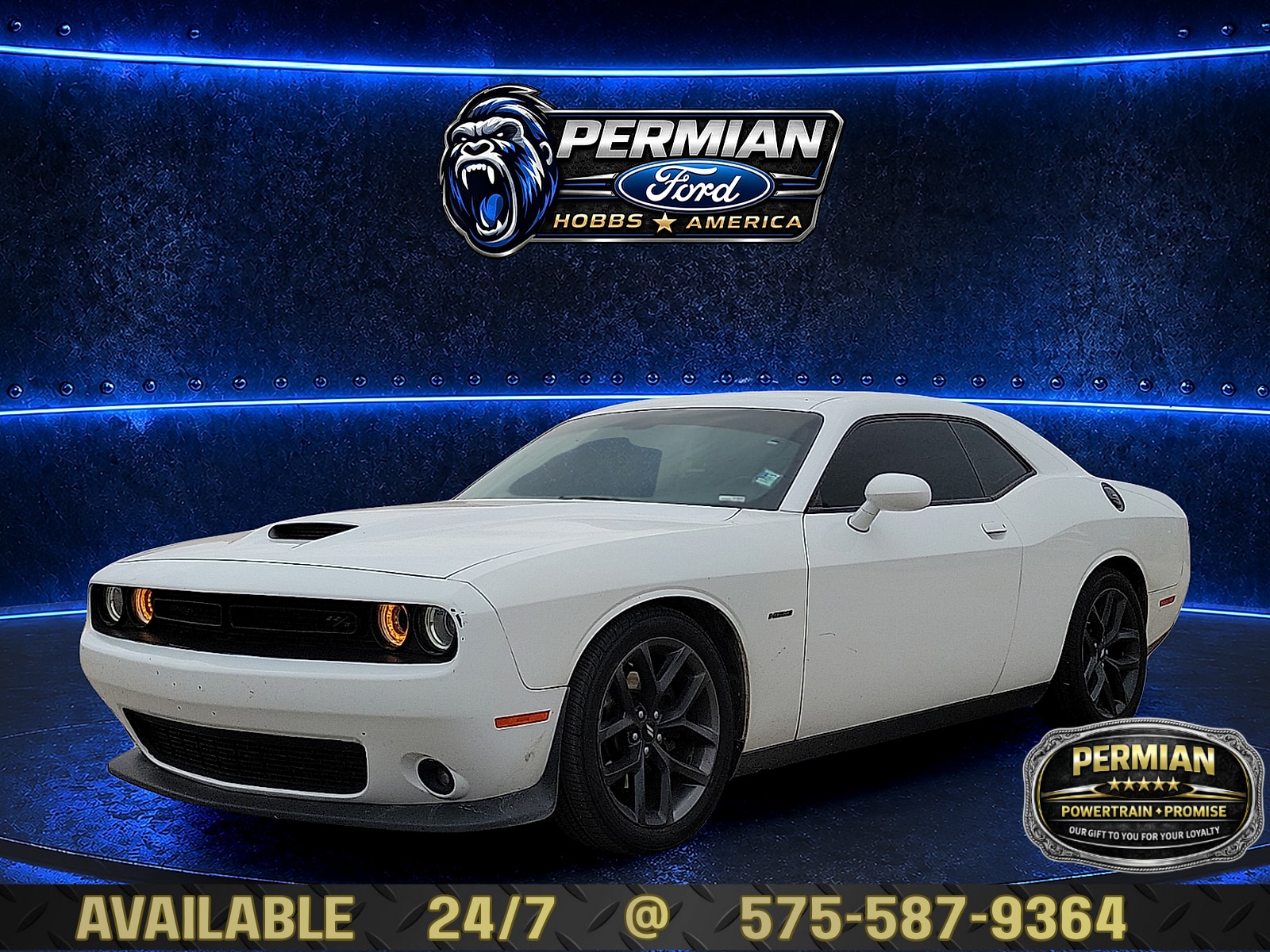 2019 Dodge Challenger R/T's photo