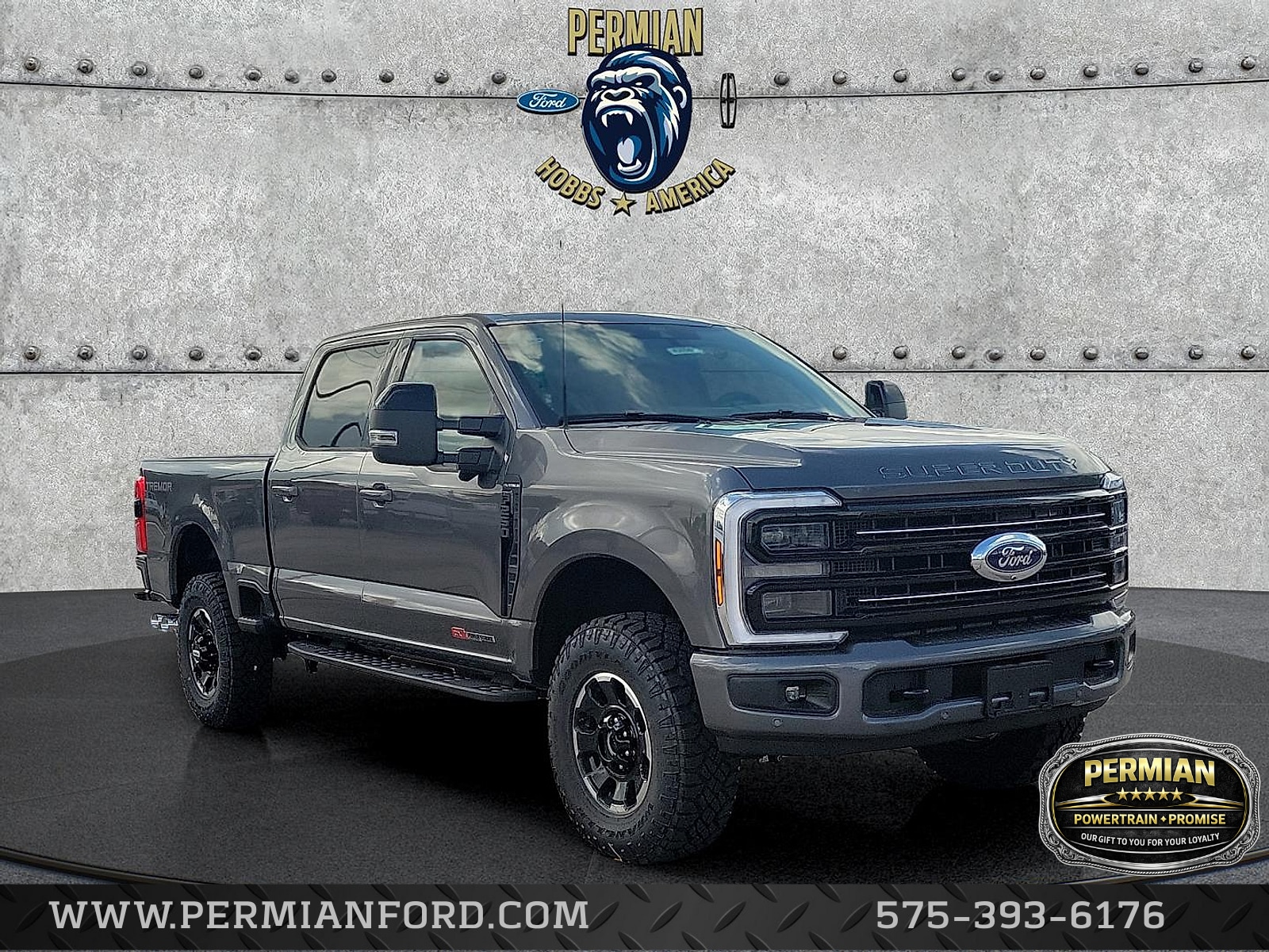 2025 Ford F-250 Super Duty Platinum - Photo 6