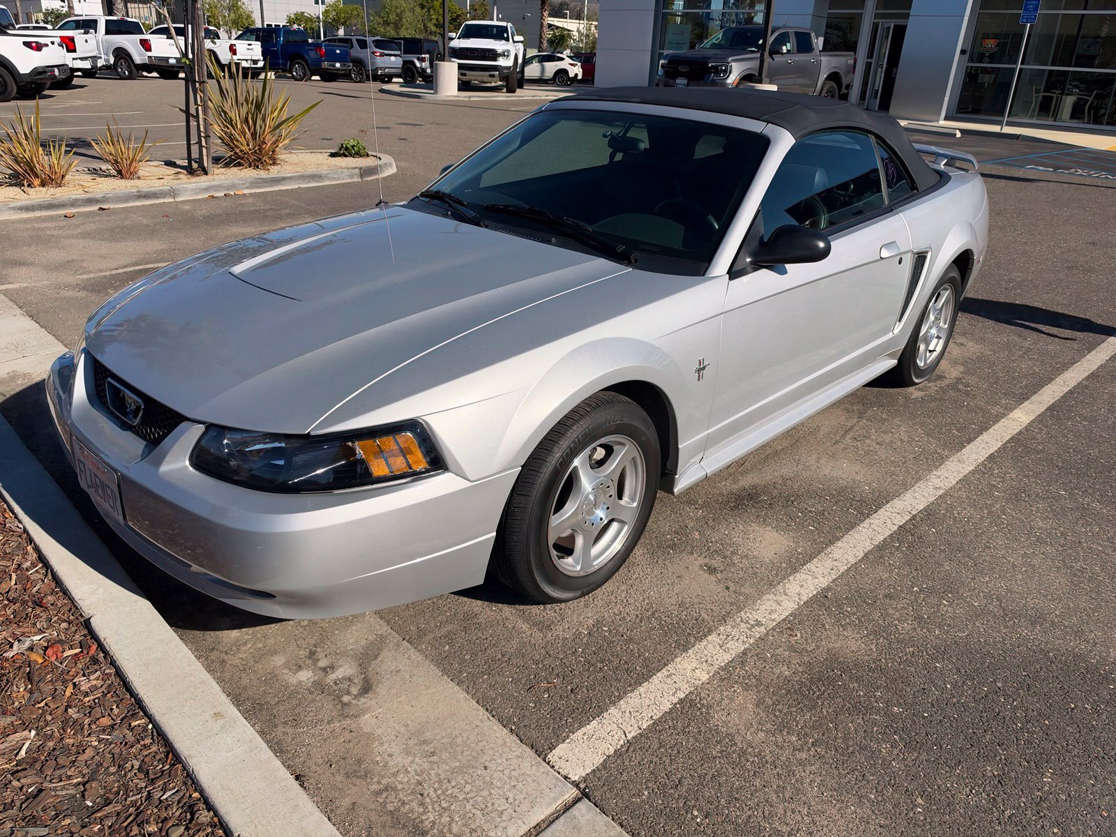 Used 2003 Ford Mustang V6 Convertible