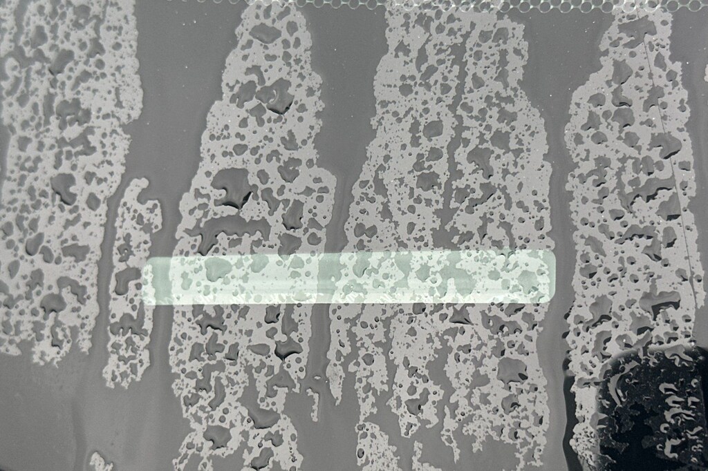 Used 2021 Honda Pilot Special Edition SUV