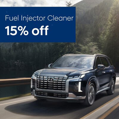 15% OFF – FUEL INJECTOR CLEANER 15% OFF – FUEL INJECTOR CLEANER