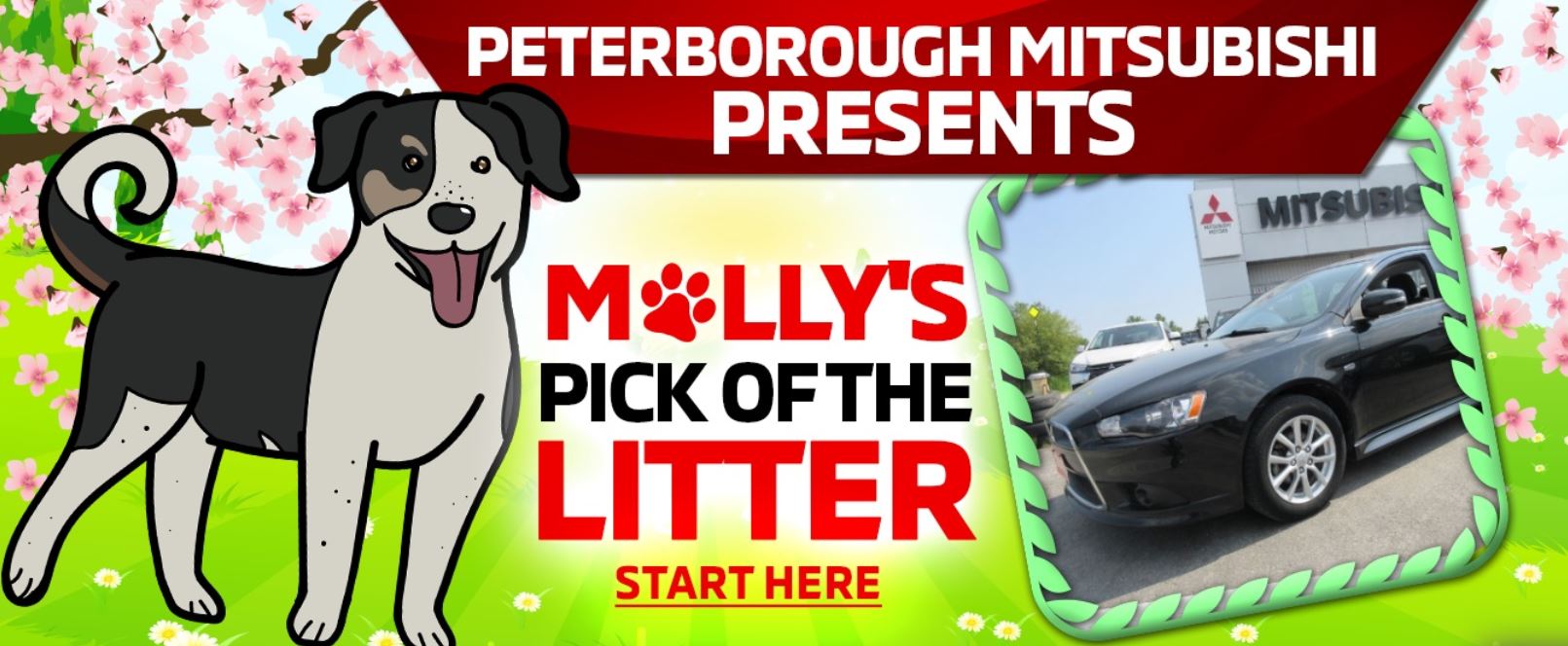 Peterborough Mitsubishi New Mitsubishi Dealership in Peterborough, ON