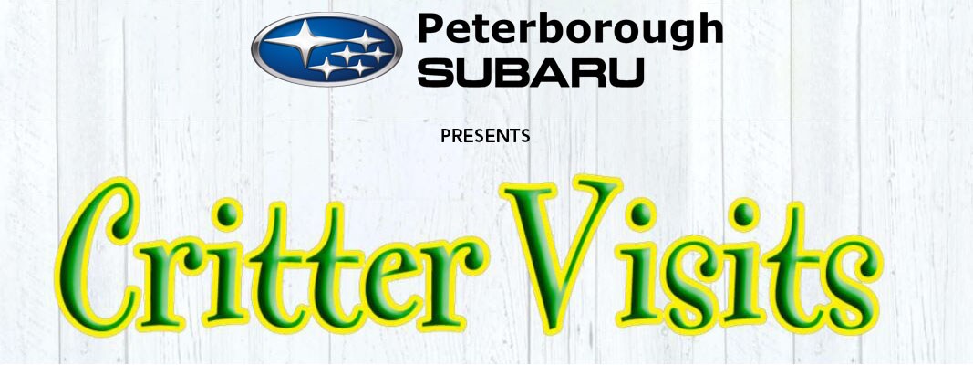 Peterborough-Subaru-Presents-Critter-Visits.jpg