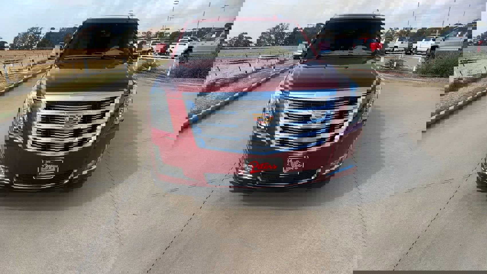 2019 Cadillac Escalade Platinum photo 4