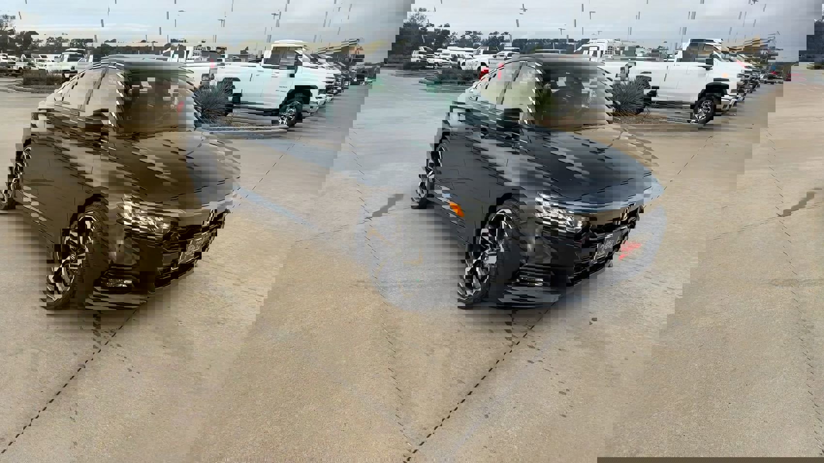 2020 Honda Accord Sport 1.5T photo 2