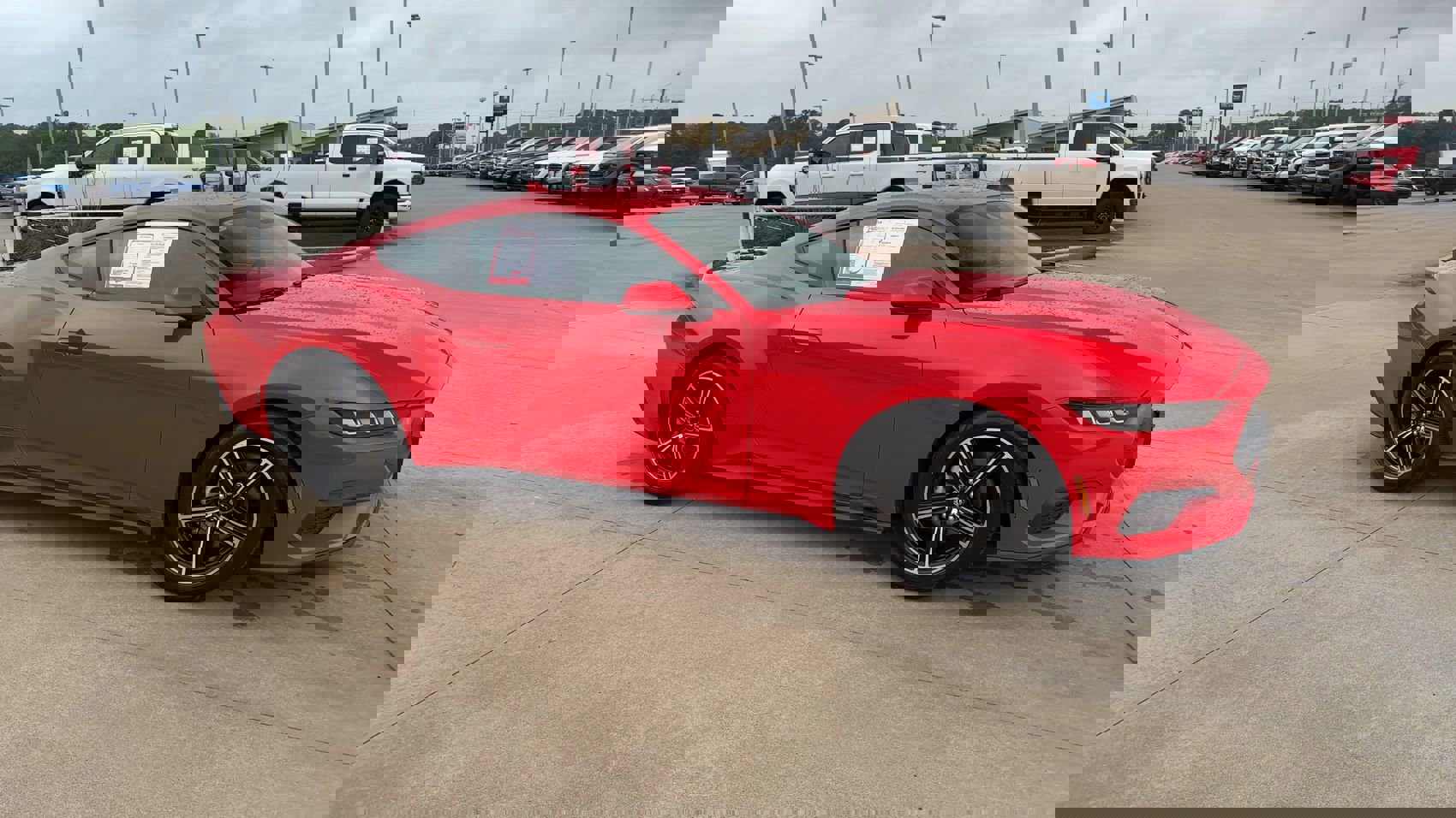 2024 Ford Mustang EcoBoost photo 2