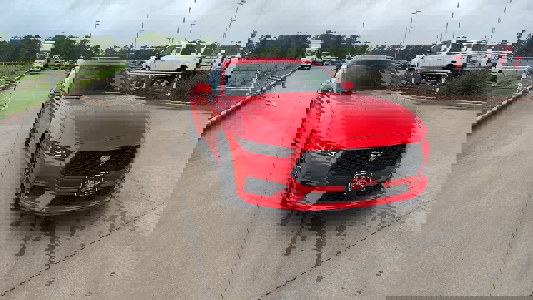 2024 Ford Mustang EcoBoost photo 3