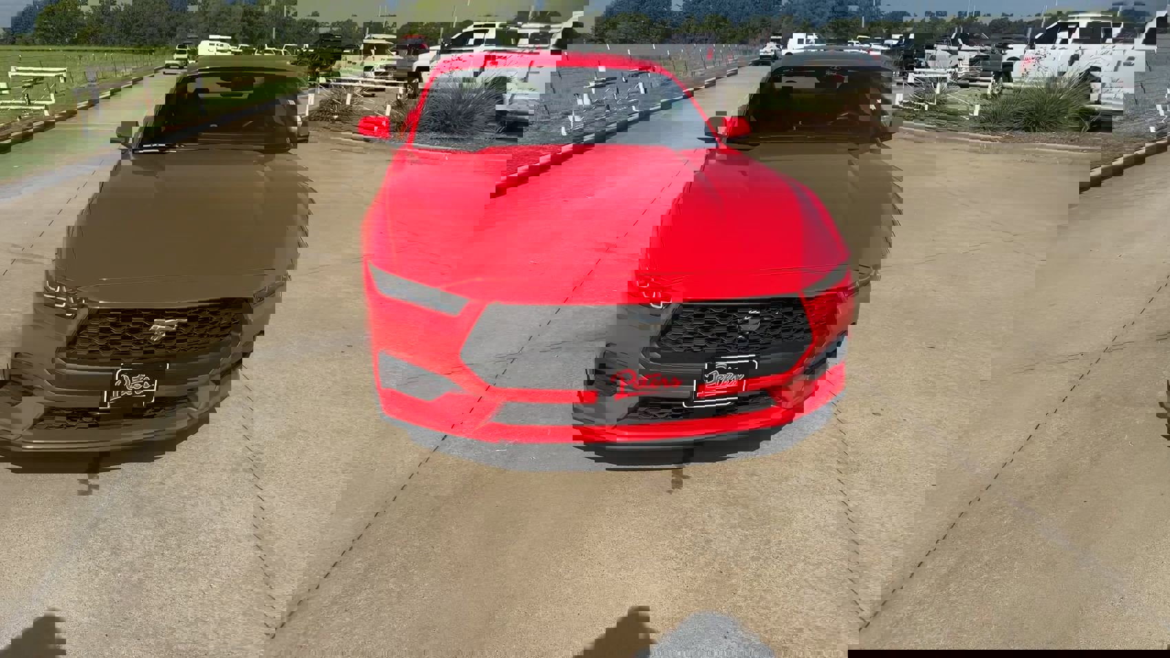 2024 Ford Mustang EcoBoost Premium photo 4