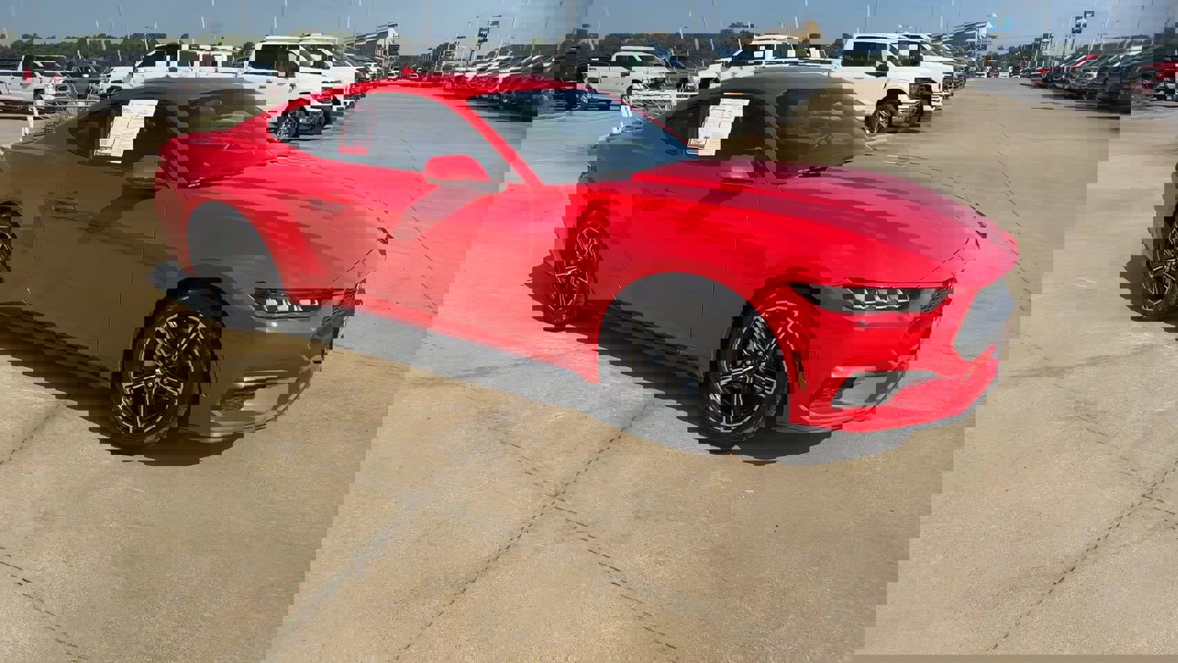 2024 Ford Mustang EcoBoost Premium photo 3