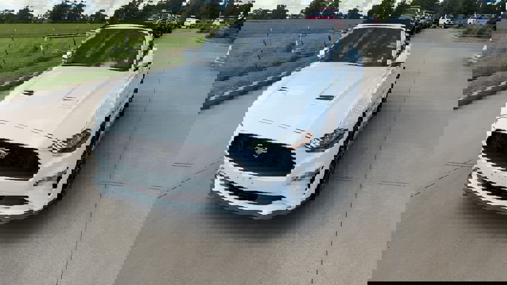 2020 Ford Mustang EcoBoost Premium Convertible photo 4