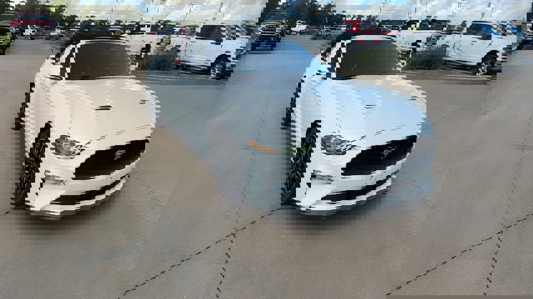 2020 Ford Mustang EcoBoost Premium Convertible photo 3