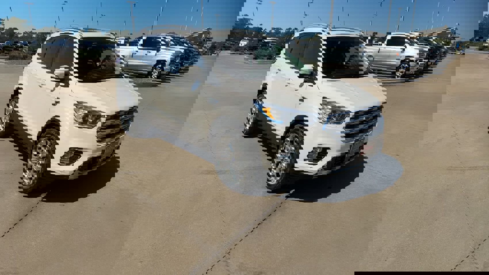 2019 Ford Escape Titanium photo 3