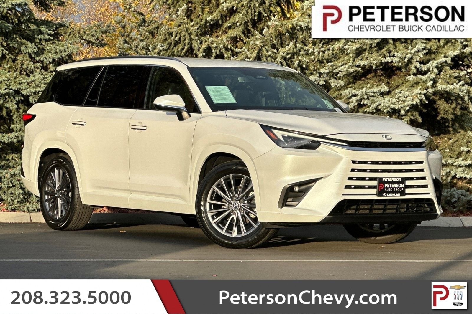 2024 Lexus TX 350's photo