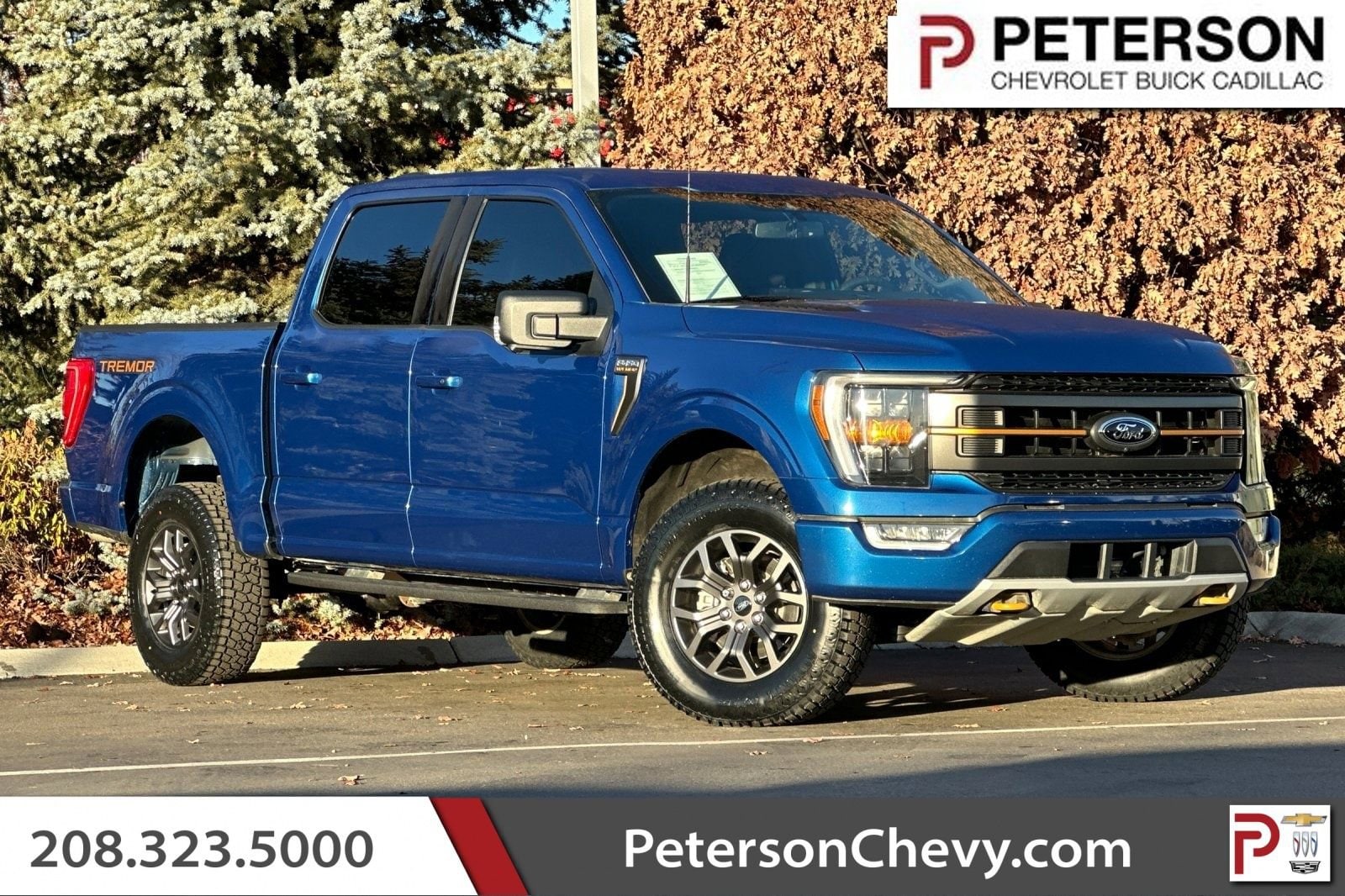 2022 Ford F-150 Tremor's photo