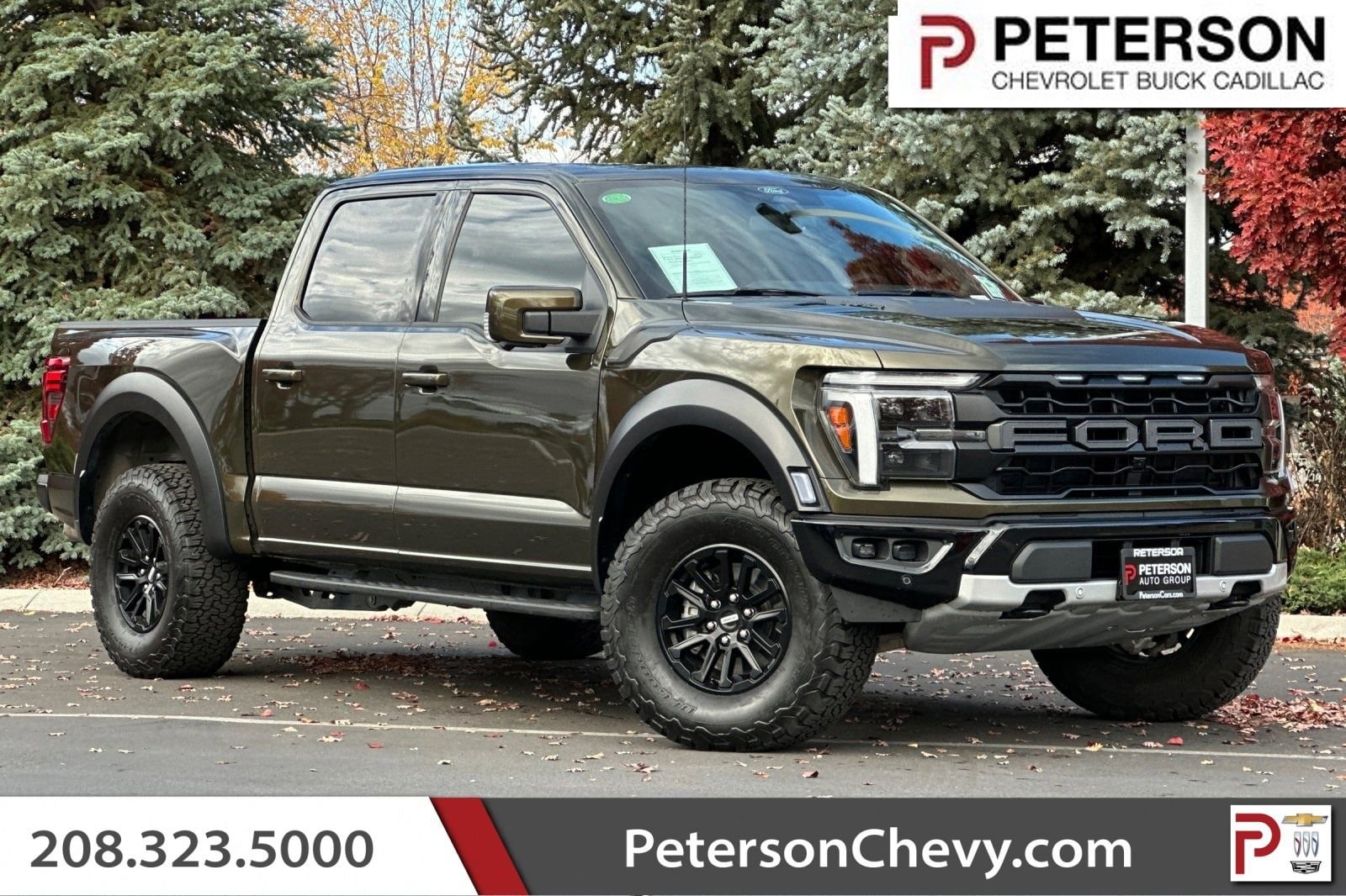 2024 Ford F-150 Raptor's photo
