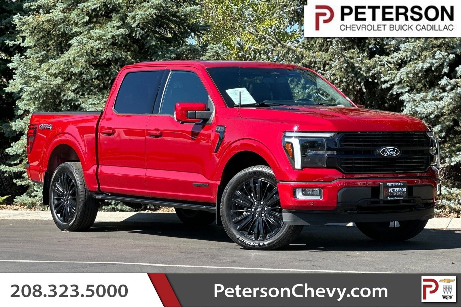 2024 Ford F-150 Platinum's photo