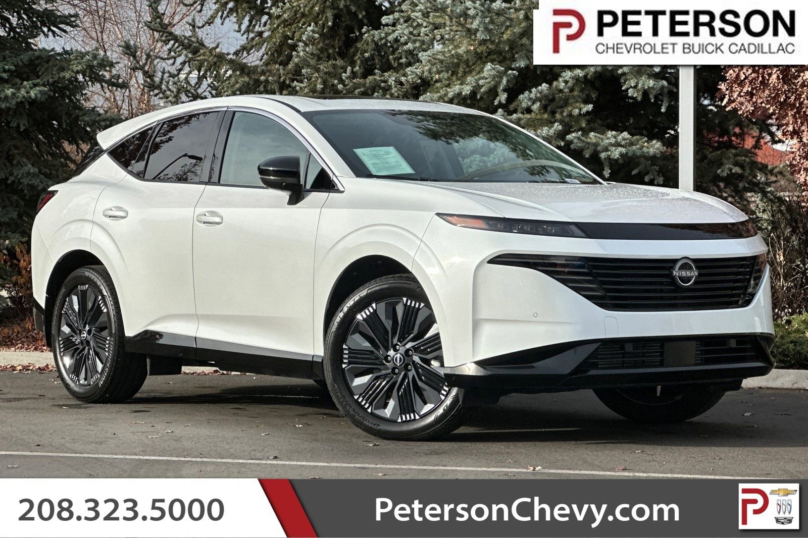 2025 Nissan Murano Platinum's photo