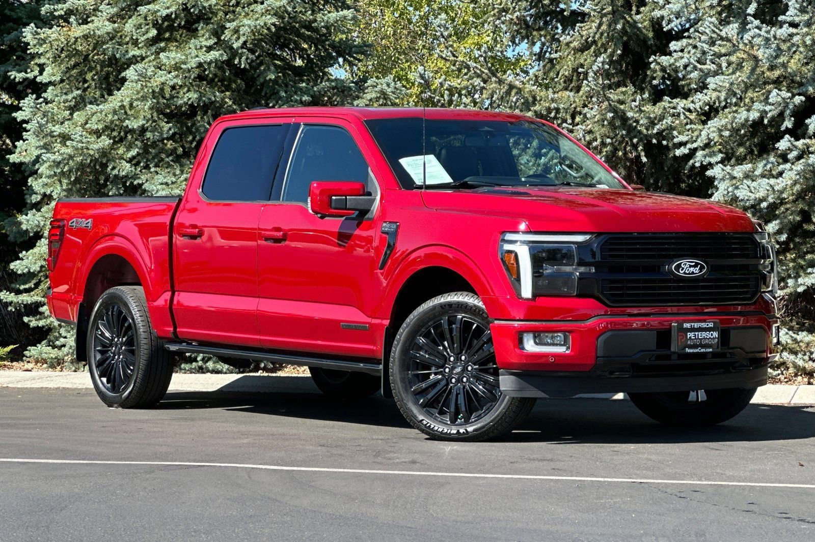 2024 Ford F-150 Platinum photo 2