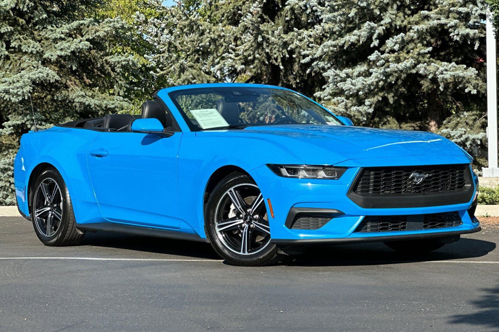 2024 Ford Mustang EcoBoost Premium Convertible photo 2