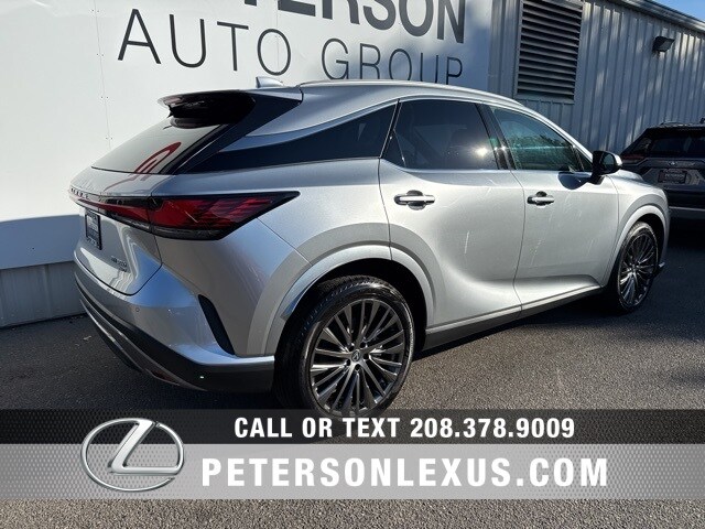 2023 Lexus RX 350 Luxury photo 3