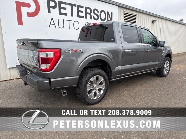 2023 Ford F-150 Platinum photo 3