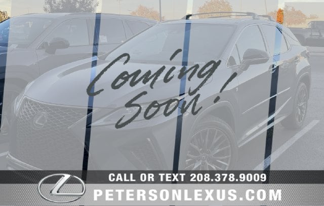 2020 Lexus RX 350 F SPORT