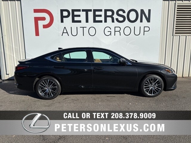 2023 Lexus ES 250 photo 2