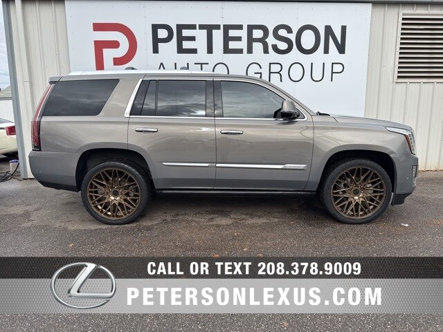 2018 Cadillac Escalade Platinum photo 2