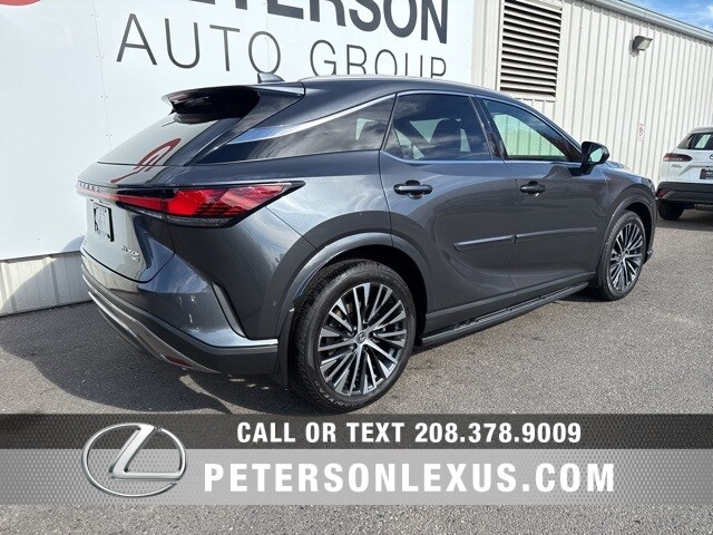 2025 Lexus RX 350h Premium photo 3