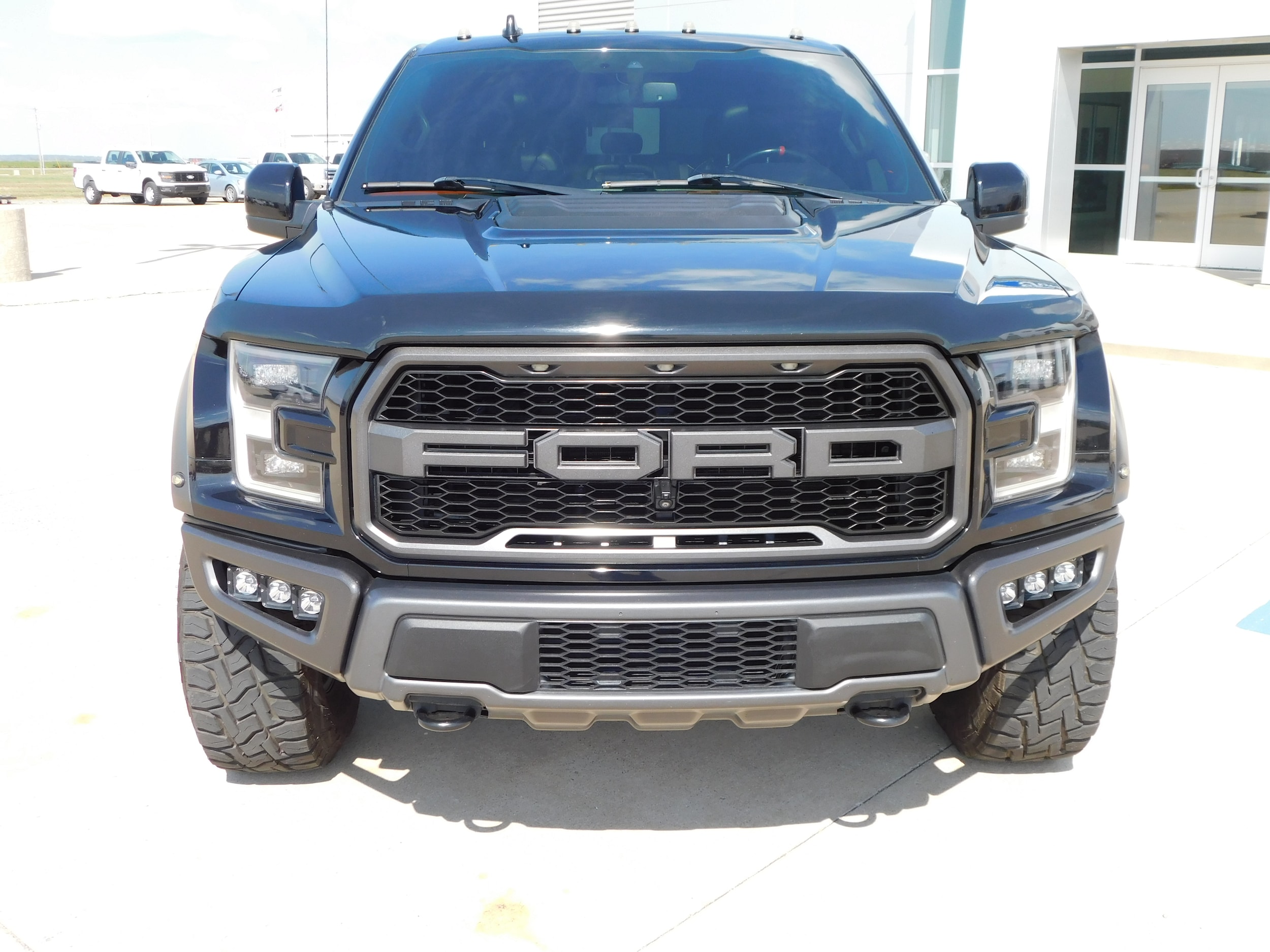 Used 2019 Ford F-150 Raptor with VIN 1FTFW1RG0KFC53334 for sale in Stuttgart, AR