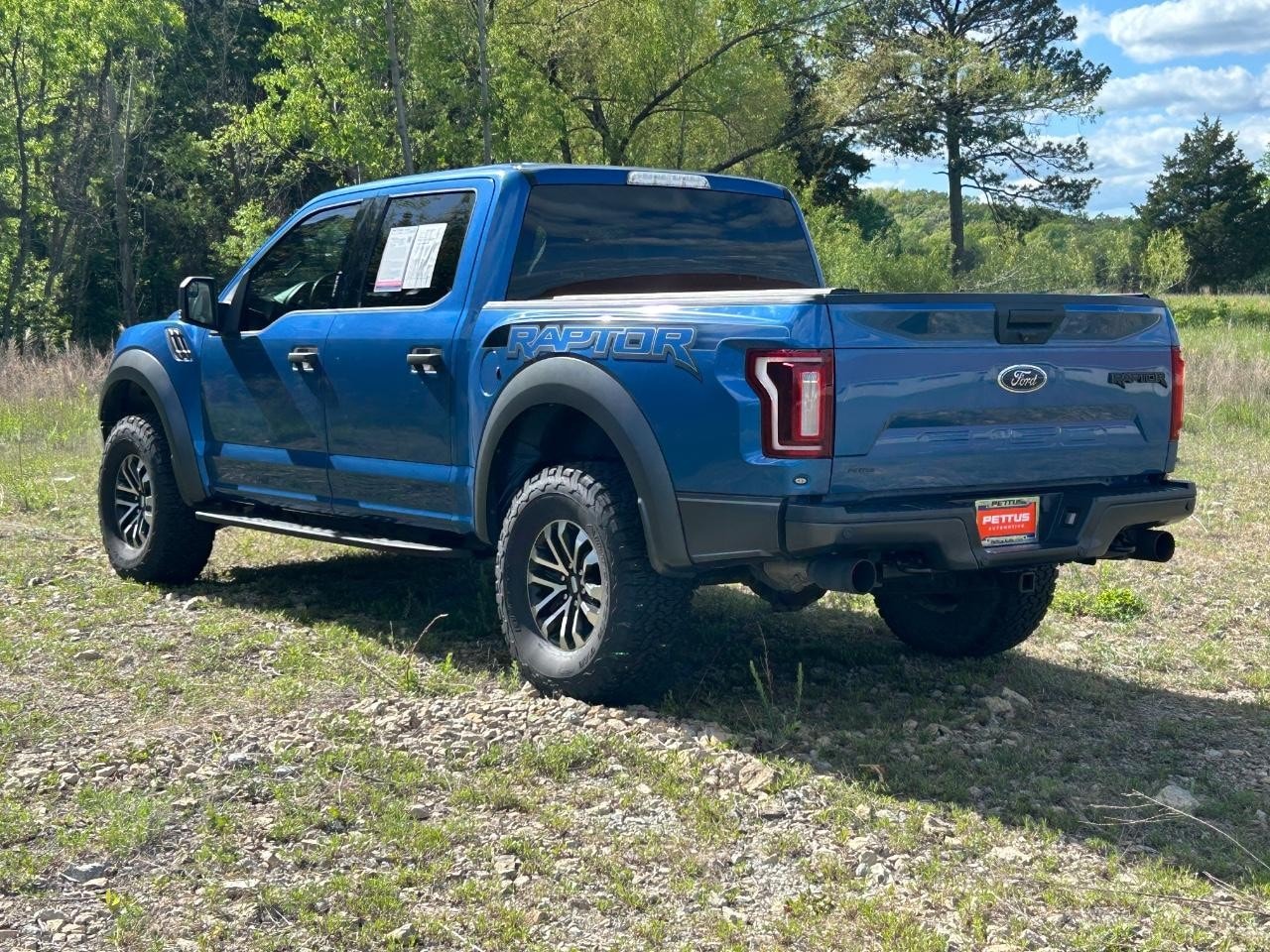2019 Ford F-150 Raptor - Photo 11