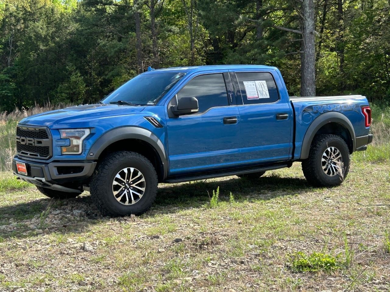 2019 Ford F-150 Raptor - Photo 13