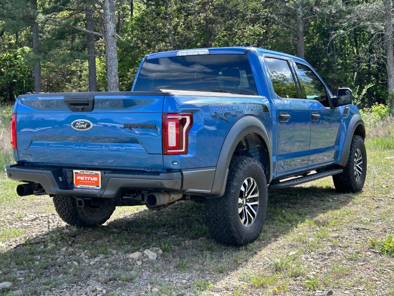 2019 Ford F-150 Raptor - Photo 14