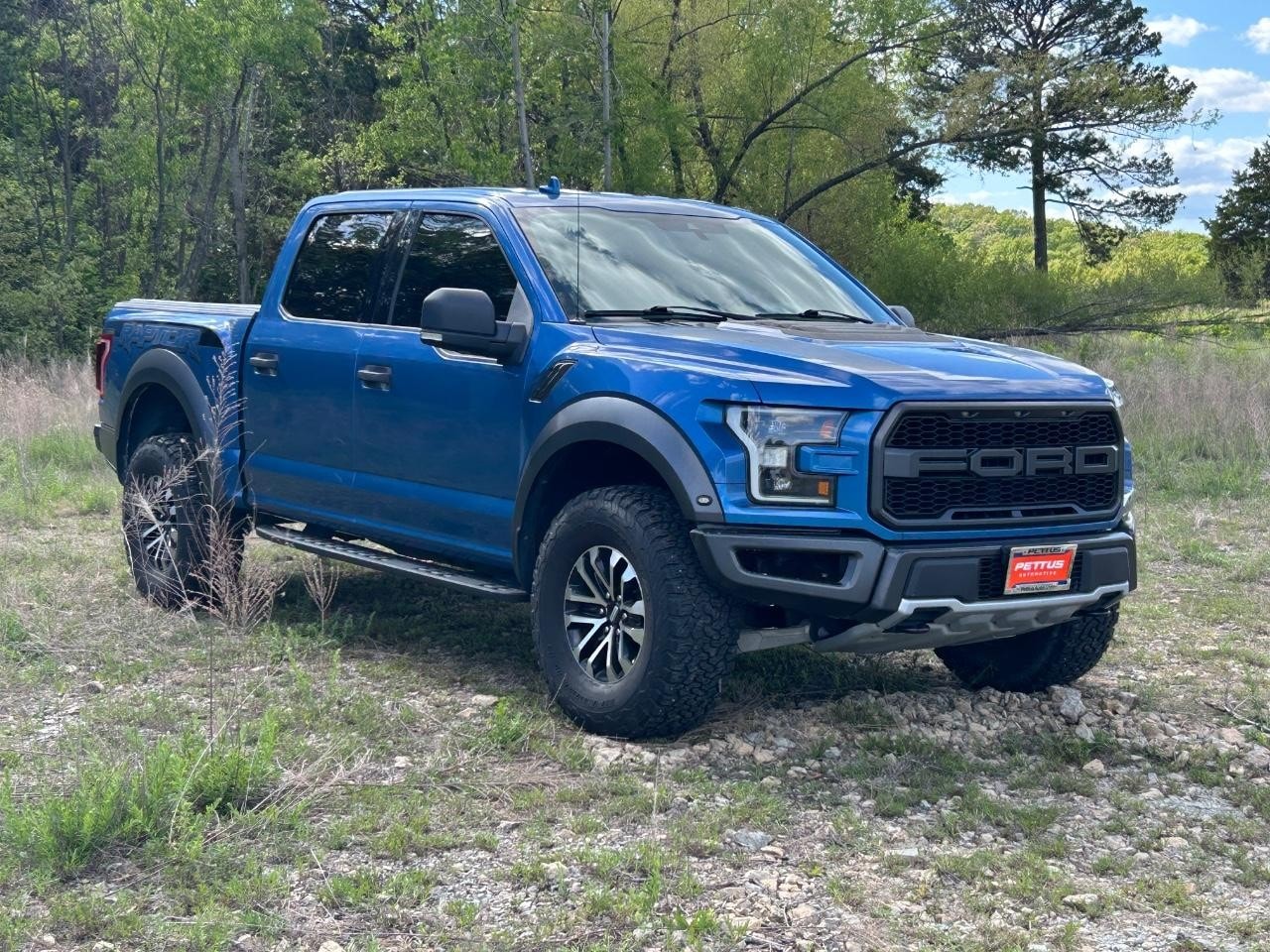 2019 Ford F-150 Raptor - Photo 19