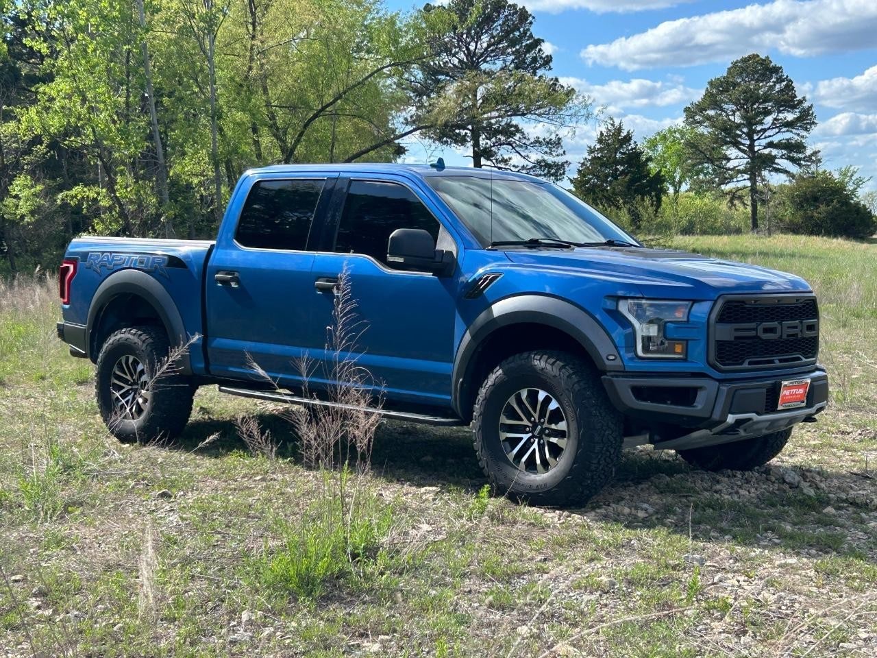 2019 Ford F-150 Raptor - Photo 15