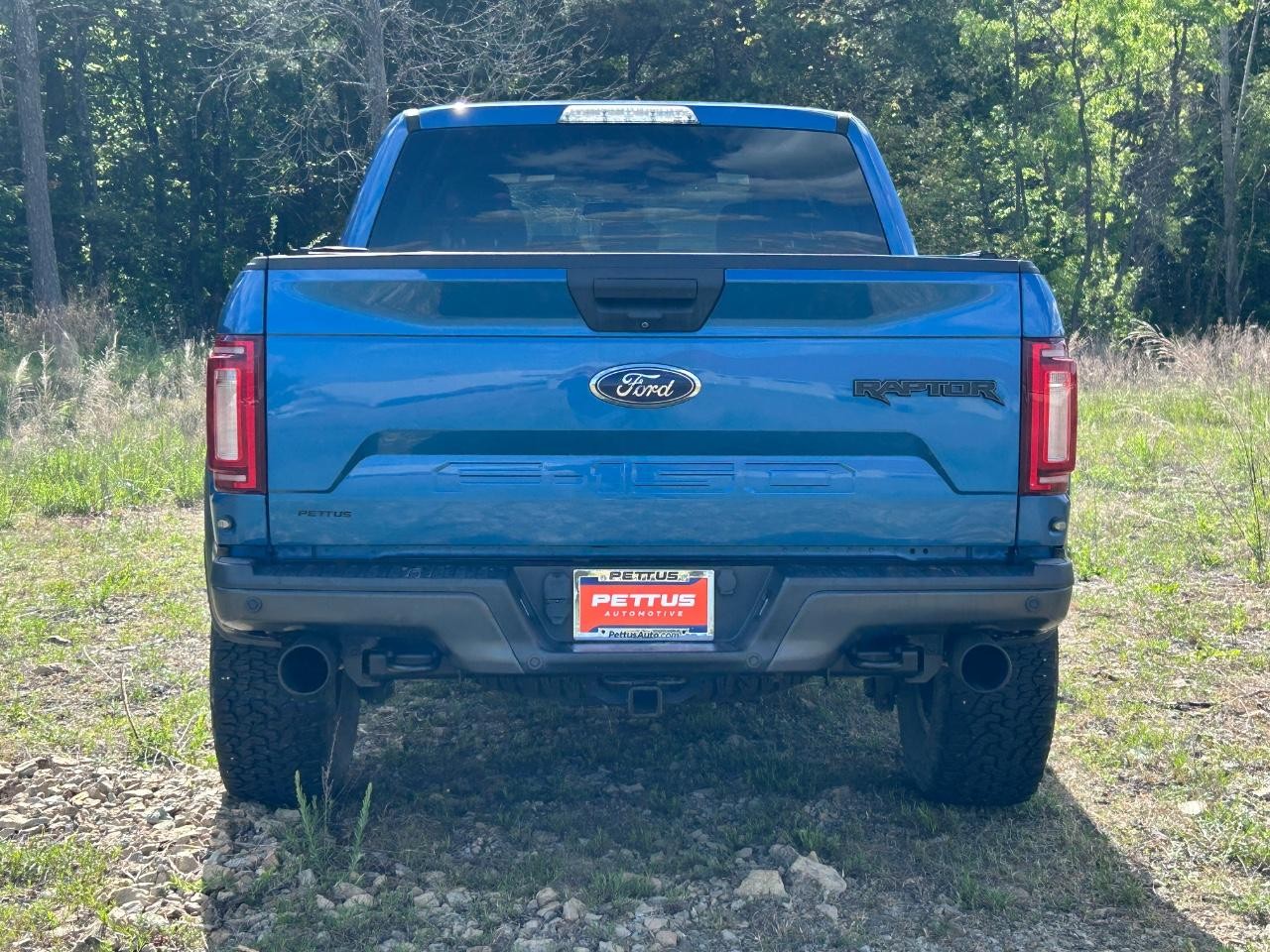 2019 Ford F-150 Raptor - Photo 12