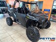 Polaris RZR
